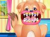 Dentistas de animales