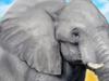 Juegos de cuidar animales y elefantes