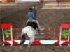 Horse Jumping 3d