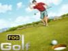 Jugar al golf en internet