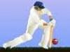 Jugar juegos de cricket en internet